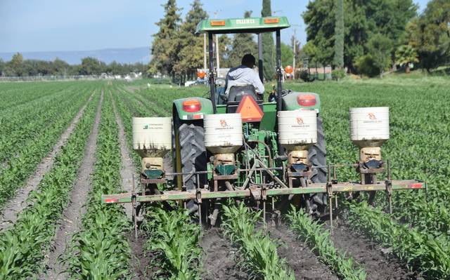 Crece agroindustria 6.5% en Guanajuato; busca ser la principal economía