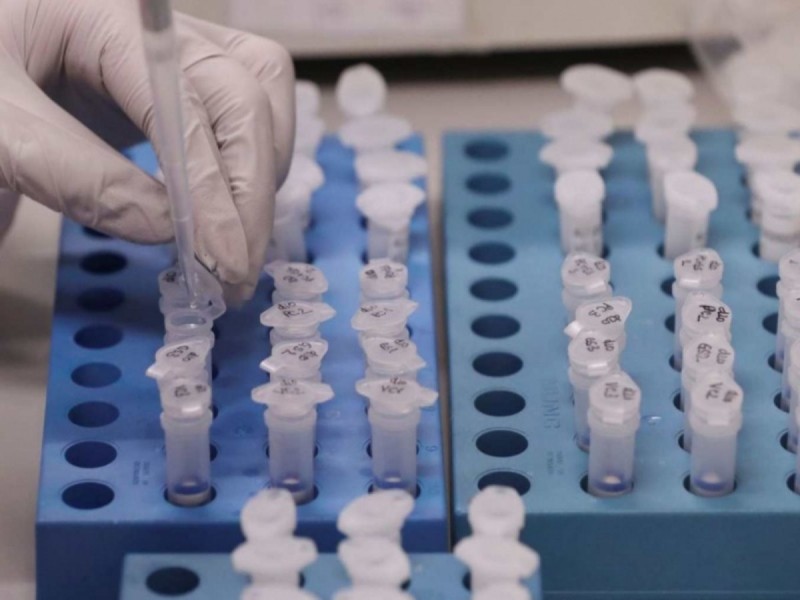 En México no hay casos de hepatitis de origen desconocido: OPS