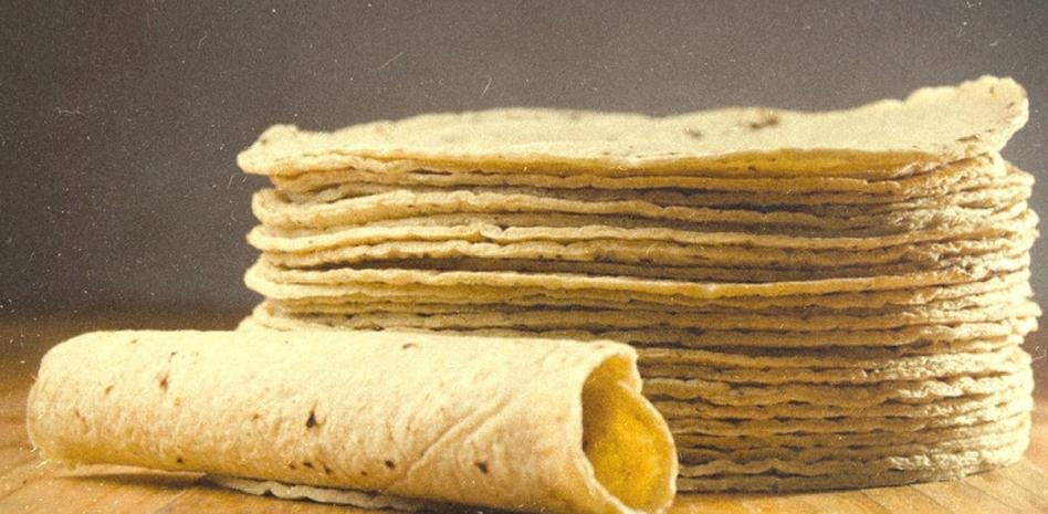 Congela la 4T Norma contra tortilla “pirata”