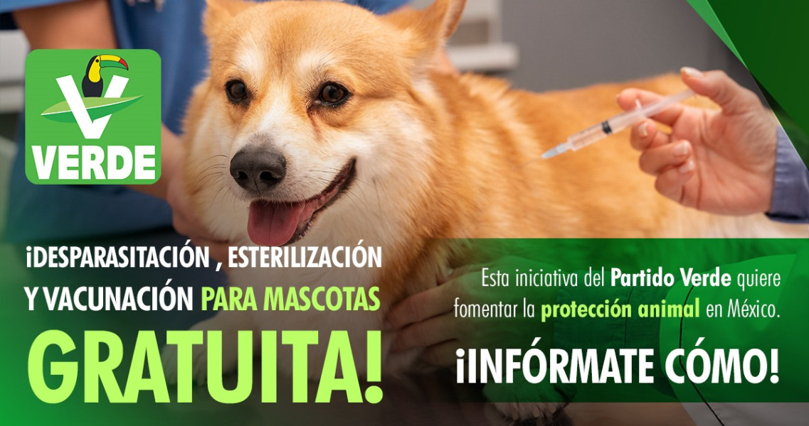 Avance Nacional hacia el Bienestar de los Animales de Compañía