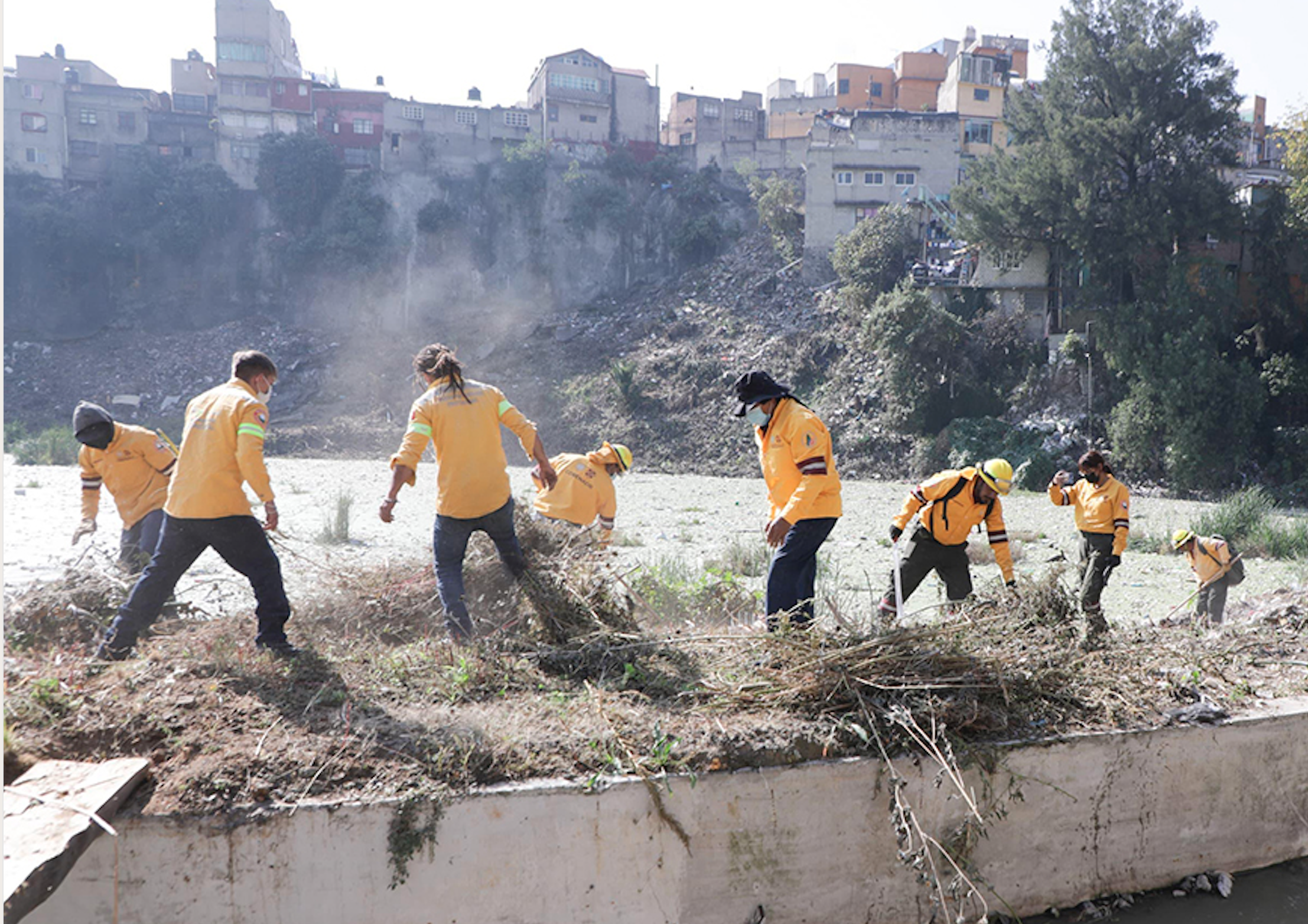 “La Revolución del Agua: Descubre Cómo Esta Diputada Lidera la Transición Sustentable de la Ciudad”
