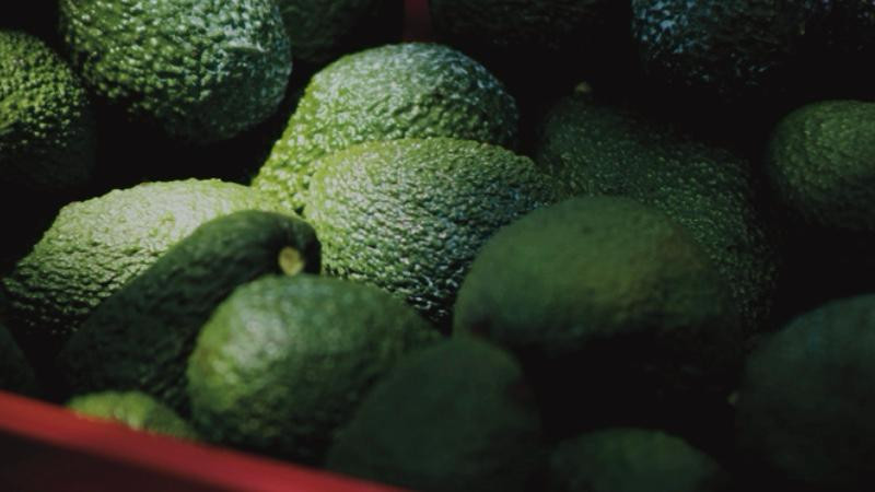 El crimen organizado sangra el 'oro verde' de México: extorsión a limón y aguacate supera los 10 mil millones al año